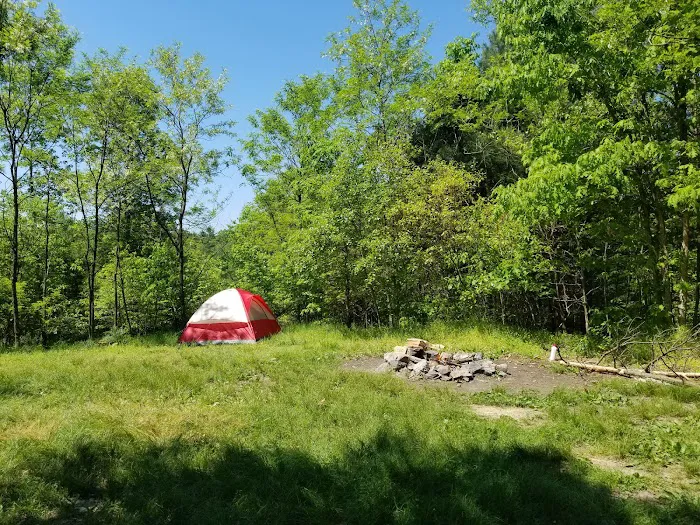 Green Ridge State Forest Campsite 20 Picture 3