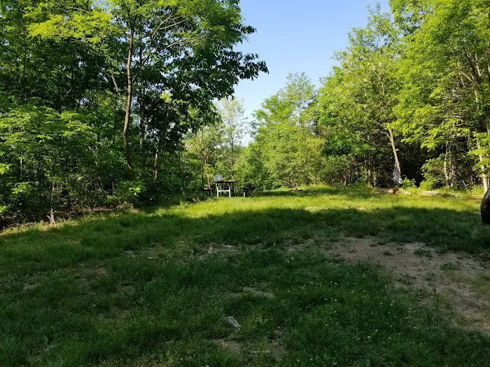 Green Ridge State Forest Campsite 20 Picture 4