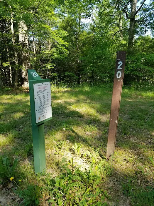 Green Ridge State Forest Campsite 20 Picture 2