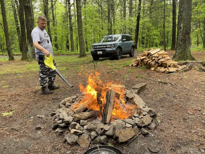 Green Ridge State Forest Campsite 16 Picture 4