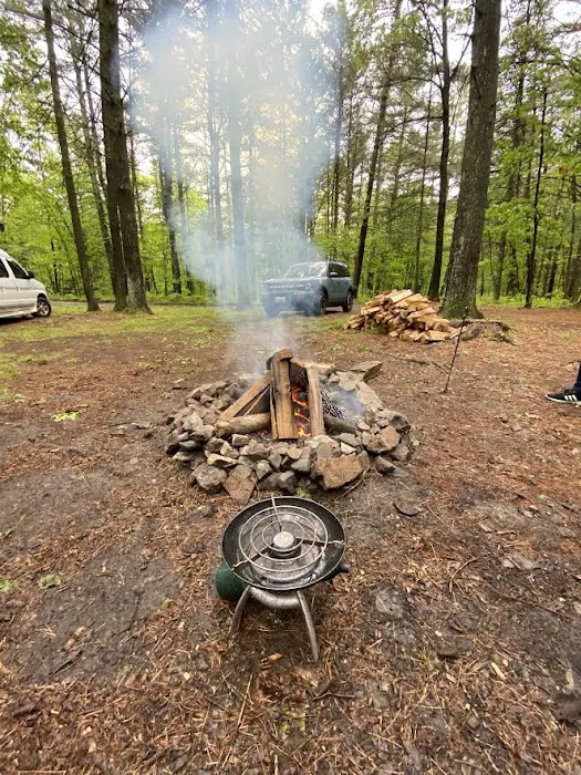 Green Ridge State Forest Campsite 16 Picture 7