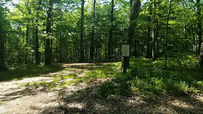 Green Ridge State Forest Campsite 16 Picture 3