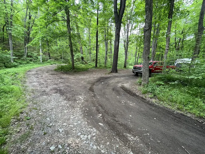 Green Ridge State Forest Campsite #1 Picture 3