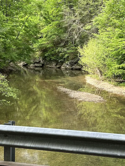Green Ridge State Forest Campsite #1 Picture 1