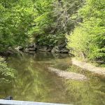 Green Ridge State Forest Campsite #1