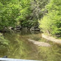 Green Ridge State Forest Campsite #1 ico