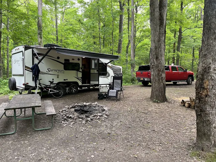 Green Ridge State Forest Campsite #1 Picture 4