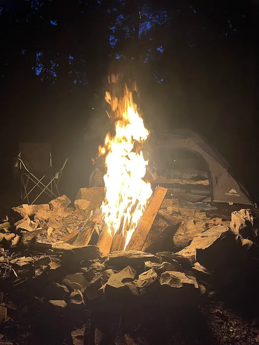 Green Ridge State Forest Campsite #1 Picture 5