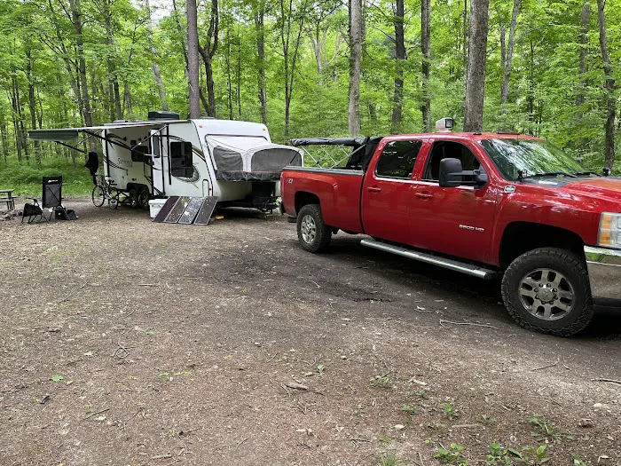Green Ridge State Forest Campsite #1 Picture 2