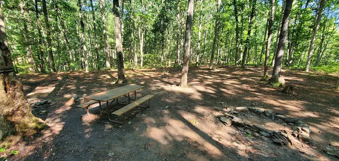 Green Ridge State Forest Campsite 17 Picture 2