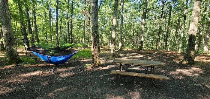 Green Ridge State Forest Campsite 17 Picture 1