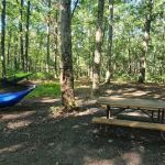 Green Ridge State Forest Campsite 17