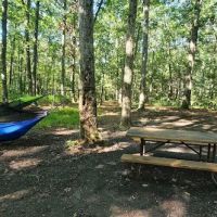 Green Ridge State Forest Campsite 17 ico