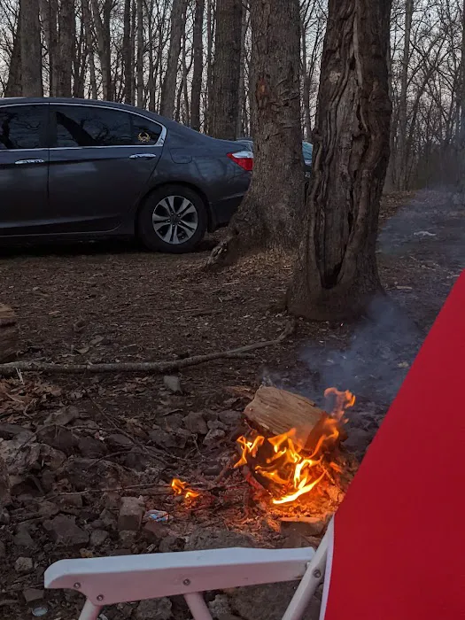 Campsite 18 Picture 2