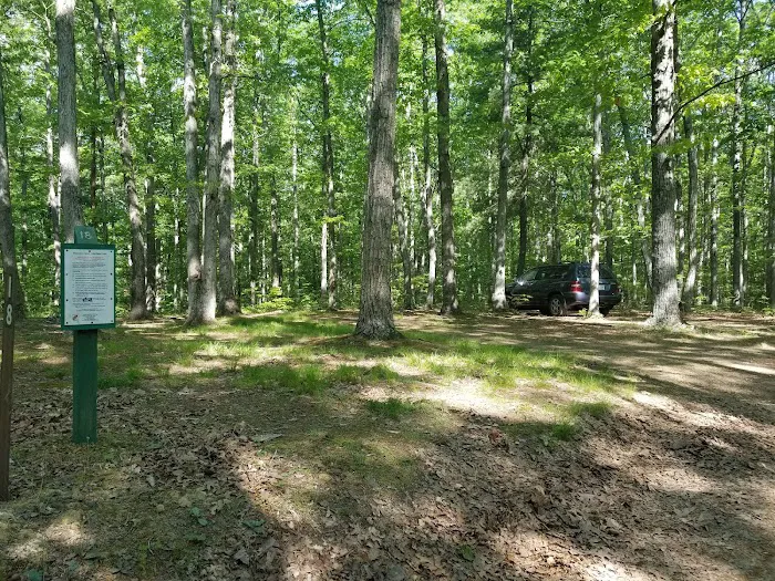 Campsite 18 Picture 5