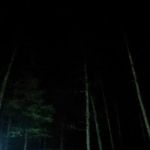 Campsite 18