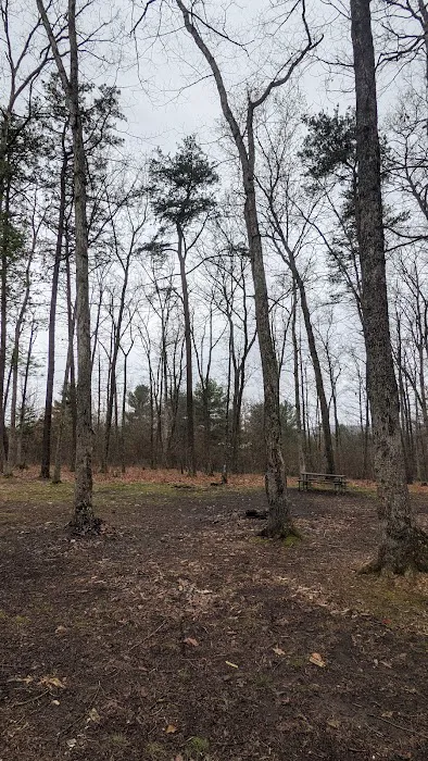 Campsite 18 Picture 3