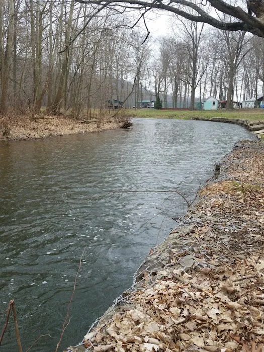 Shellbark Campground Picture 2