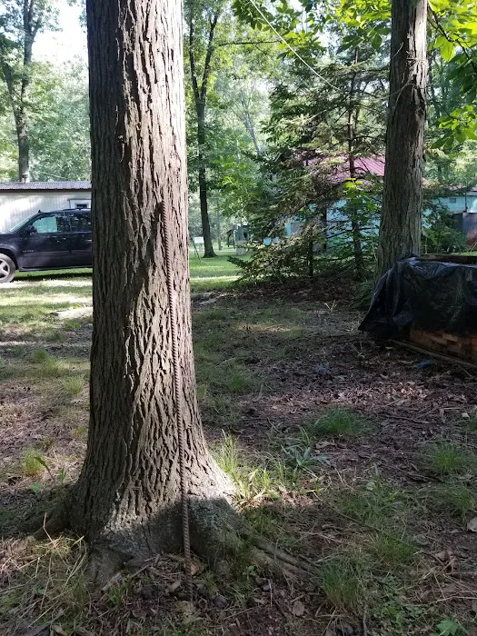 Shellbark Campground Picture 4