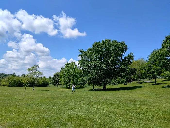 Shawnee State Park Campground Picture 8