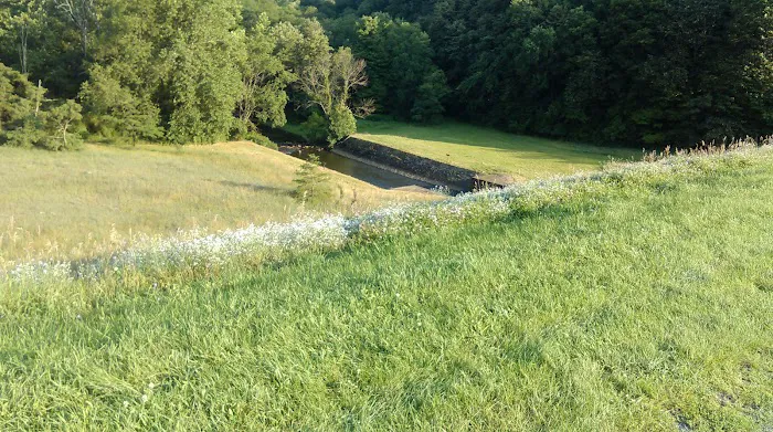 Shawnee State Park Campground Picture 6