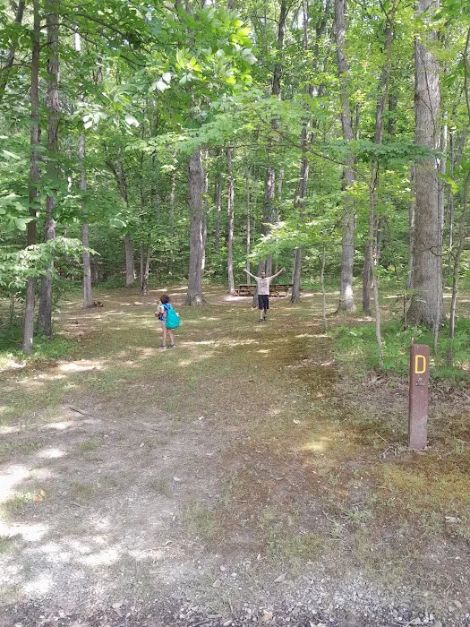 Shawnee Organized Campground Picture 1