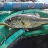 Quemahoning Family Recreation Area ico