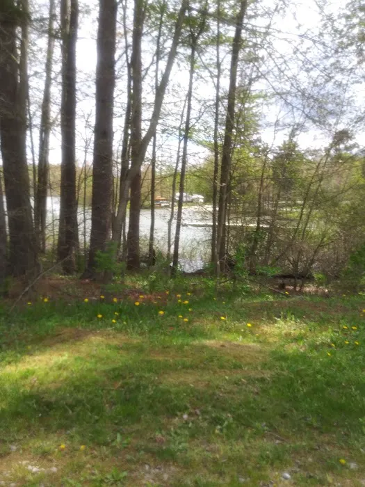 Quemahoning Family Recreation Area Picture 8