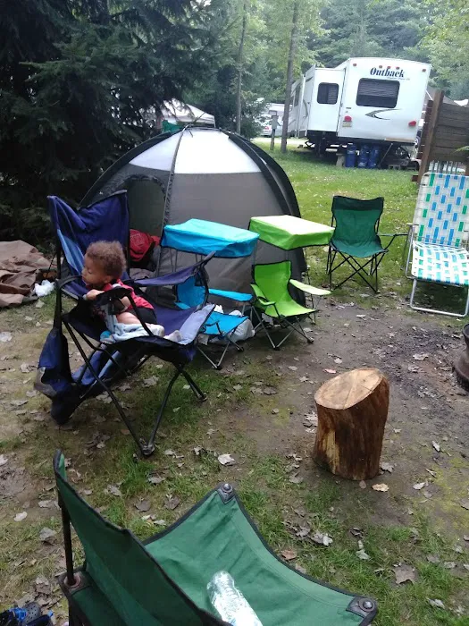 Quemahoning Family Recreation Area Picture 10