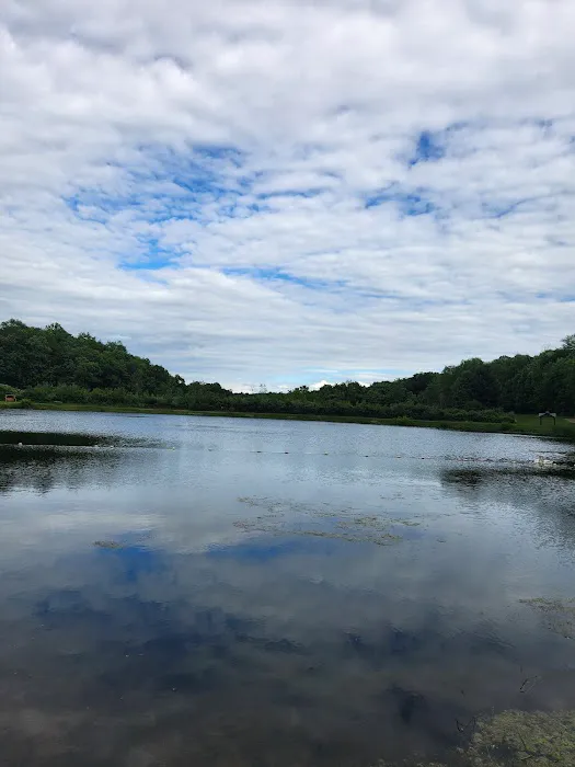 Bear Ridge Campground Picture 4