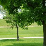 Bear Ridge Campground