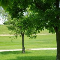 Bear Ridge Campground ico