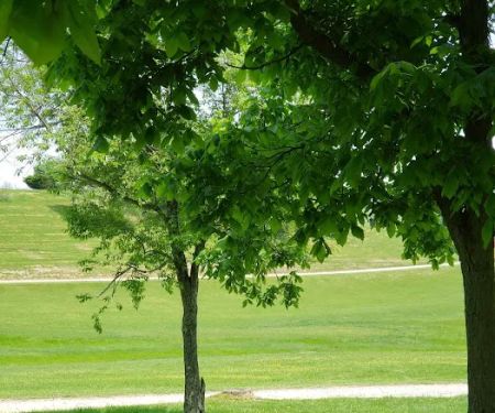 Bear Ridge Campground