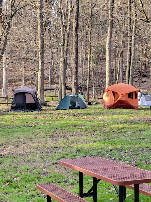 Kiski Group Campground Picture 4