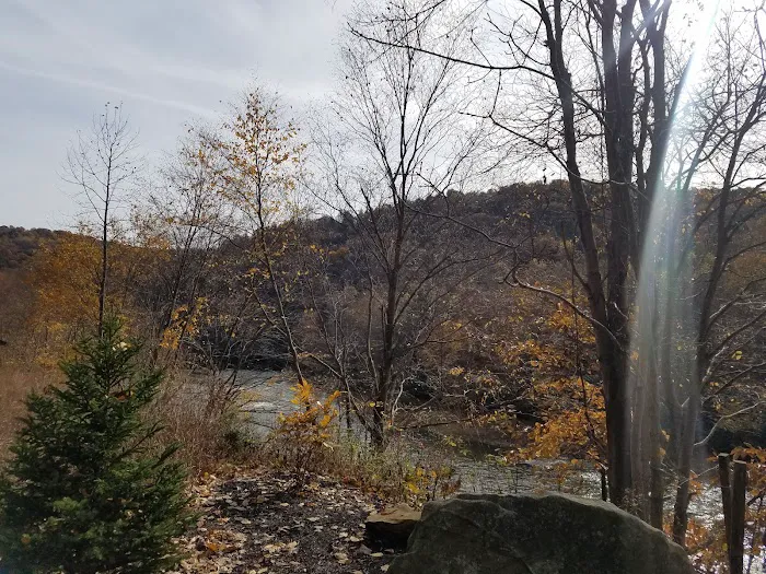 Adirondack shelter - Red Bank Valley Trail Picture 9
