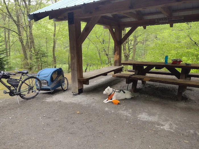 Adirondack shelter - Red Bank Valley Trail Picture 3