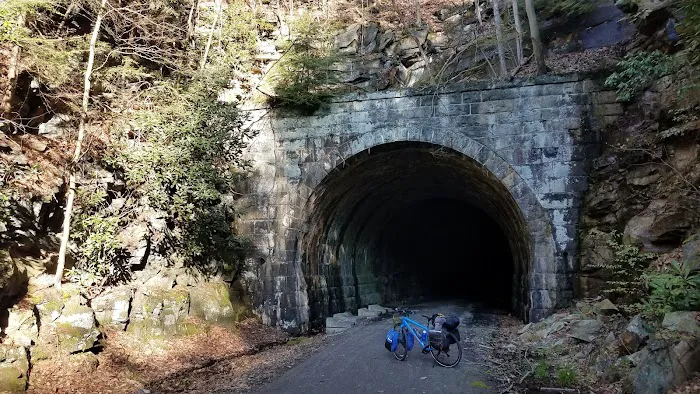 Adirondack shelter - Red Bank Valley Trail Picture 8