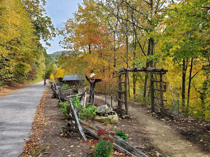 Adirondack shelter - Red Bank Valley Trail Picture 10