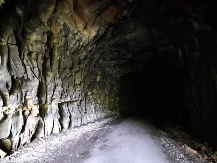 Adirondack shelter - Red Bank Valley Trail Picture 2
