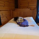 Timeless Trails Camping and Cabins