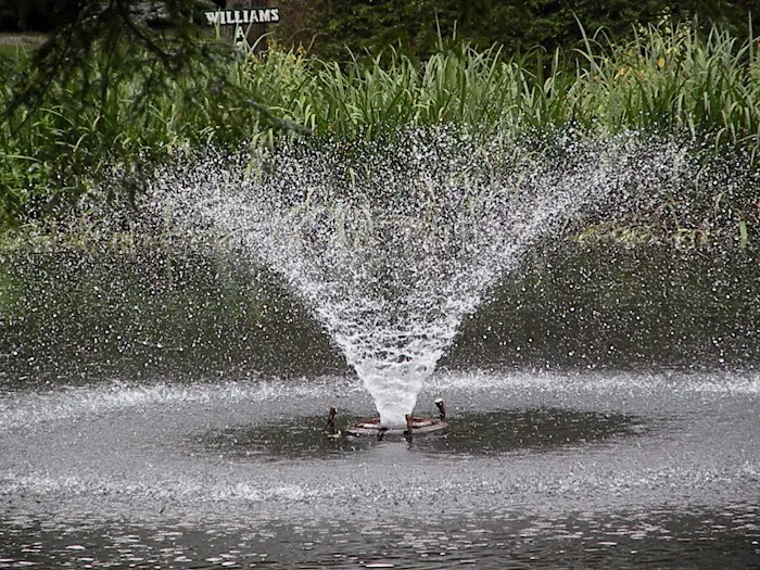 PennWood Airstream Park Picture 8