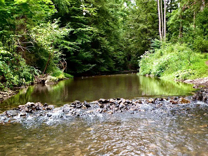 PennWood Airstream Park Picture 5