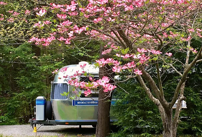 PennWood Airstream Park Picture 3