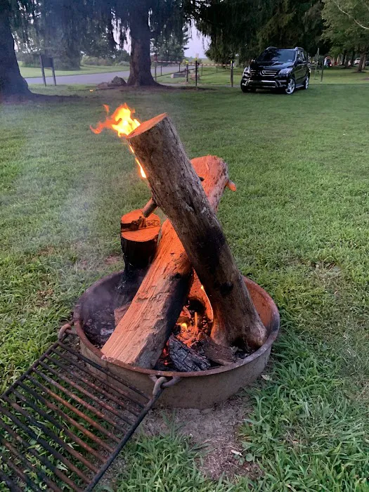 Campground Picture 6