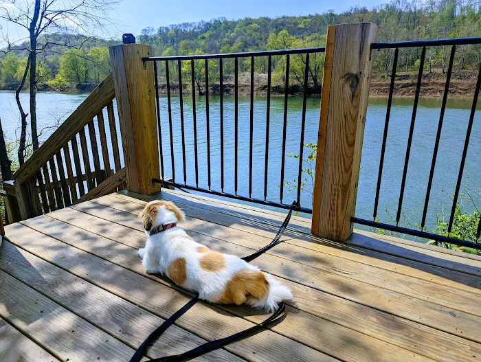 Kiski River Campsites LLC Picture 6