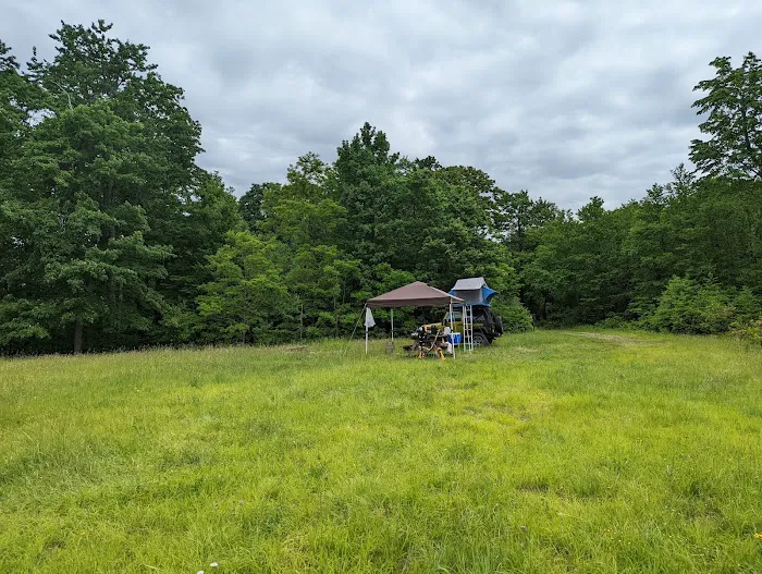 Forbes State Forest Motorized Camping #1 Picture 1