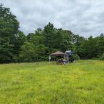 Forbes State Forest Motorized Camping #1