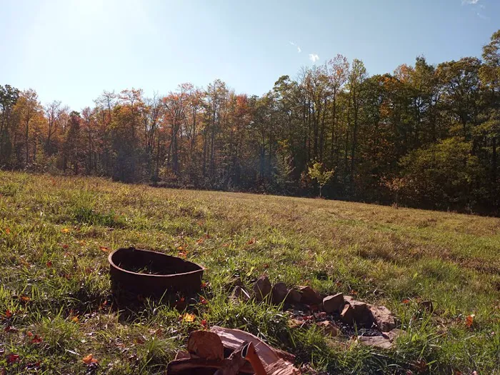 Forbes State Forest Motorized Camping #1 Picture 2