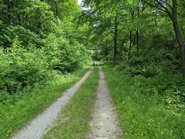 Forbes State Forest Motorized Camping #1 Picture 3