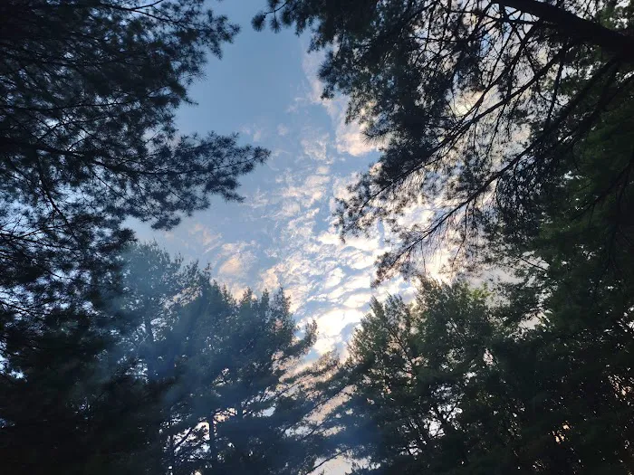 Boyers Pond Campground Picture 10